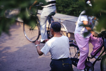 image365